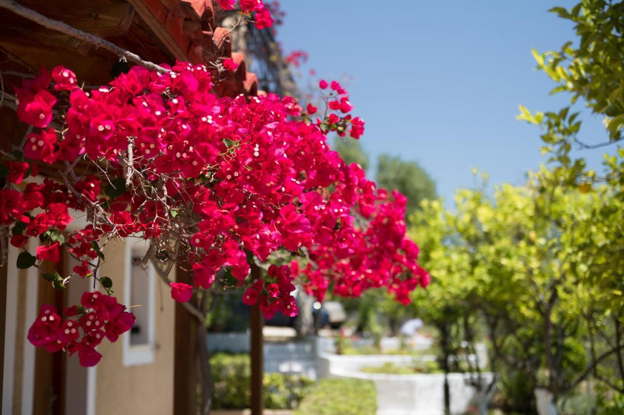 Buena Vista Hotel apartamentowy Lourdata (Kefalonia)